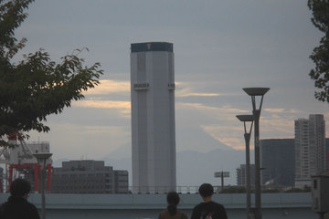 ビル向こうの富士山.jpg